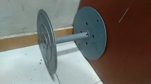 Big Border Lace bush